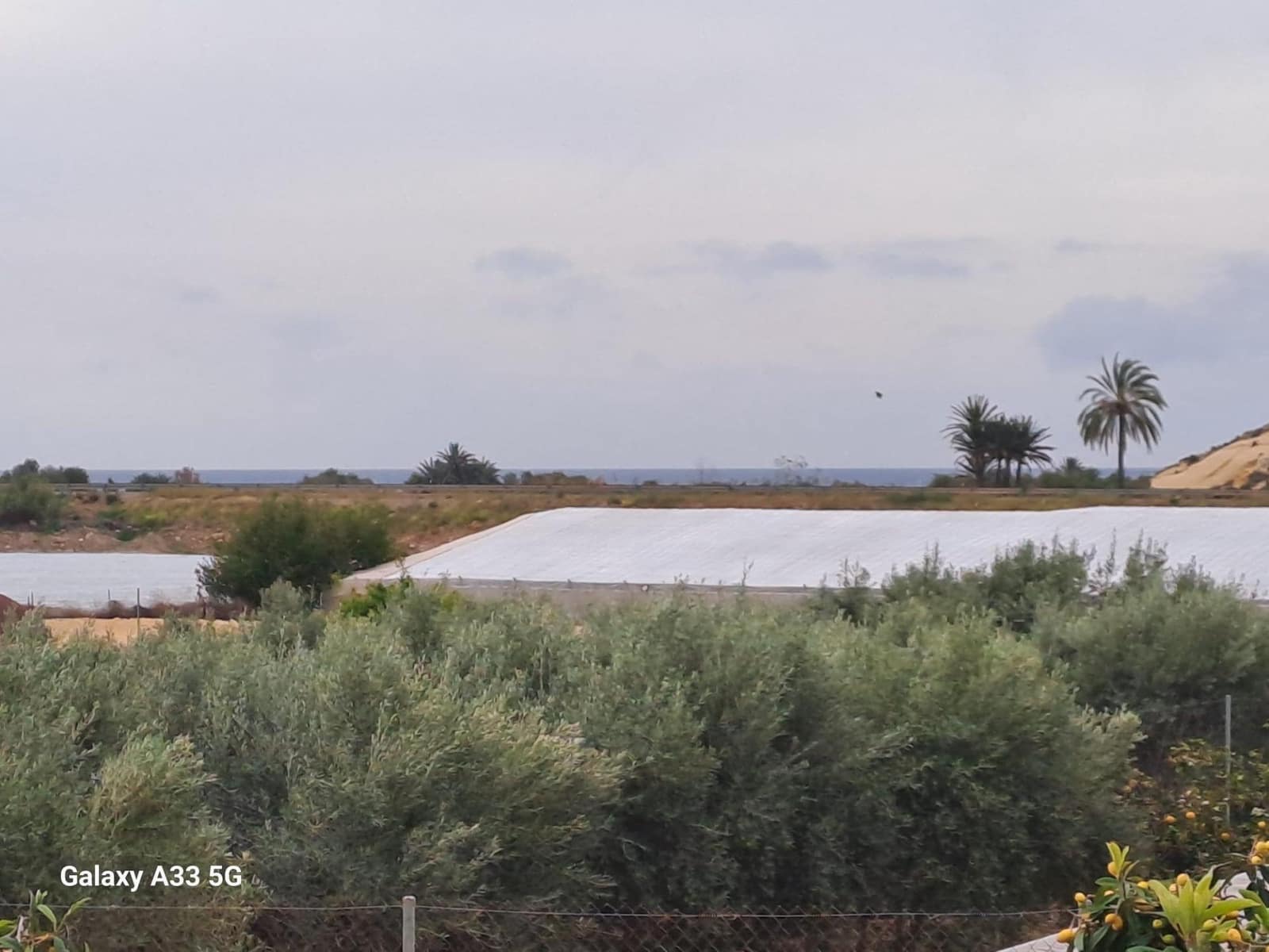 Finca/Casa Rural de 2 habitaciones en Almería ciudad en venta - 170.000 € (Ref: 9650072)