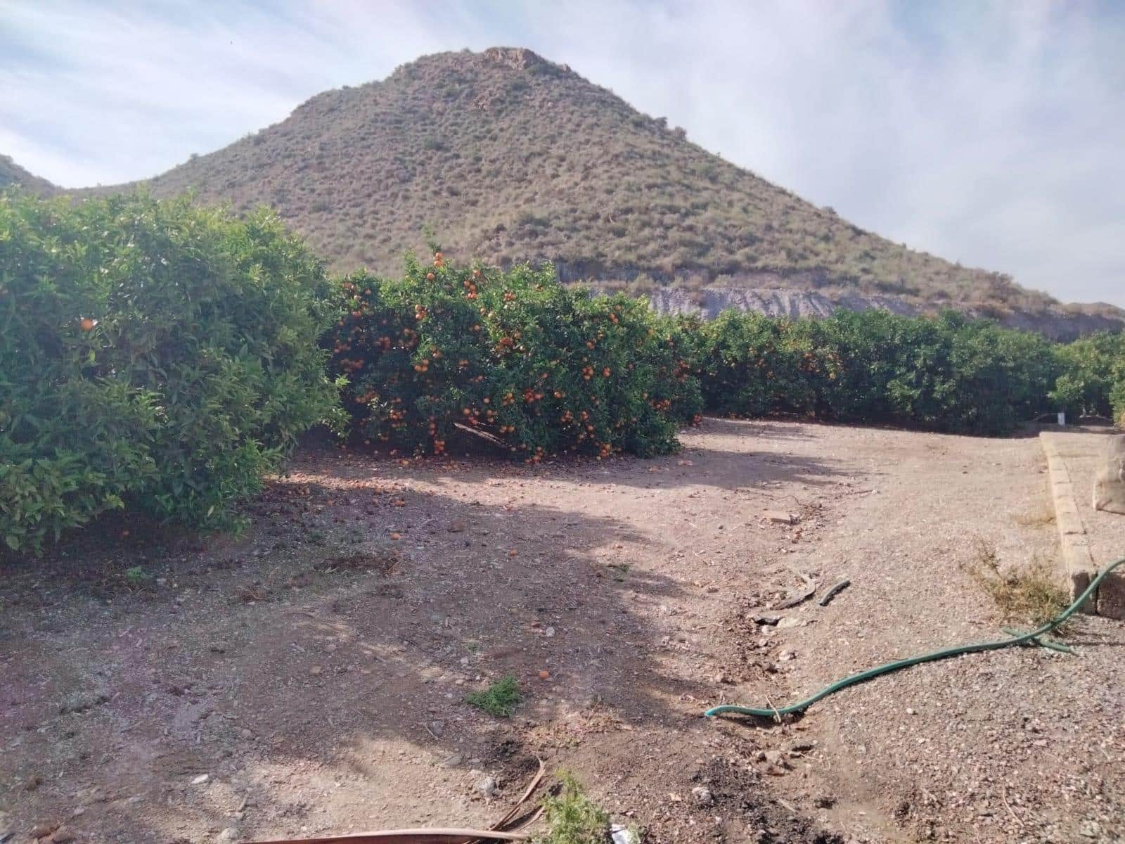 Terreno/Finca Rústica en Aguilas en venta - 600.000 € (Ref: 9650073)