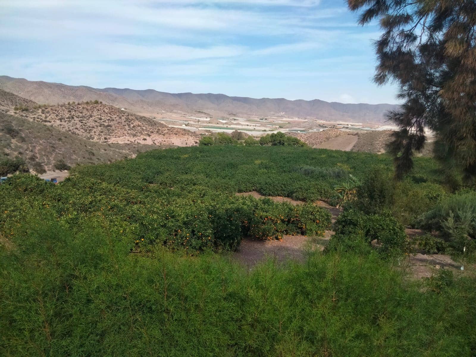 Terreno/Finca Rústica en Aguilas en venta - 600.000 € (Ref: 9650073)