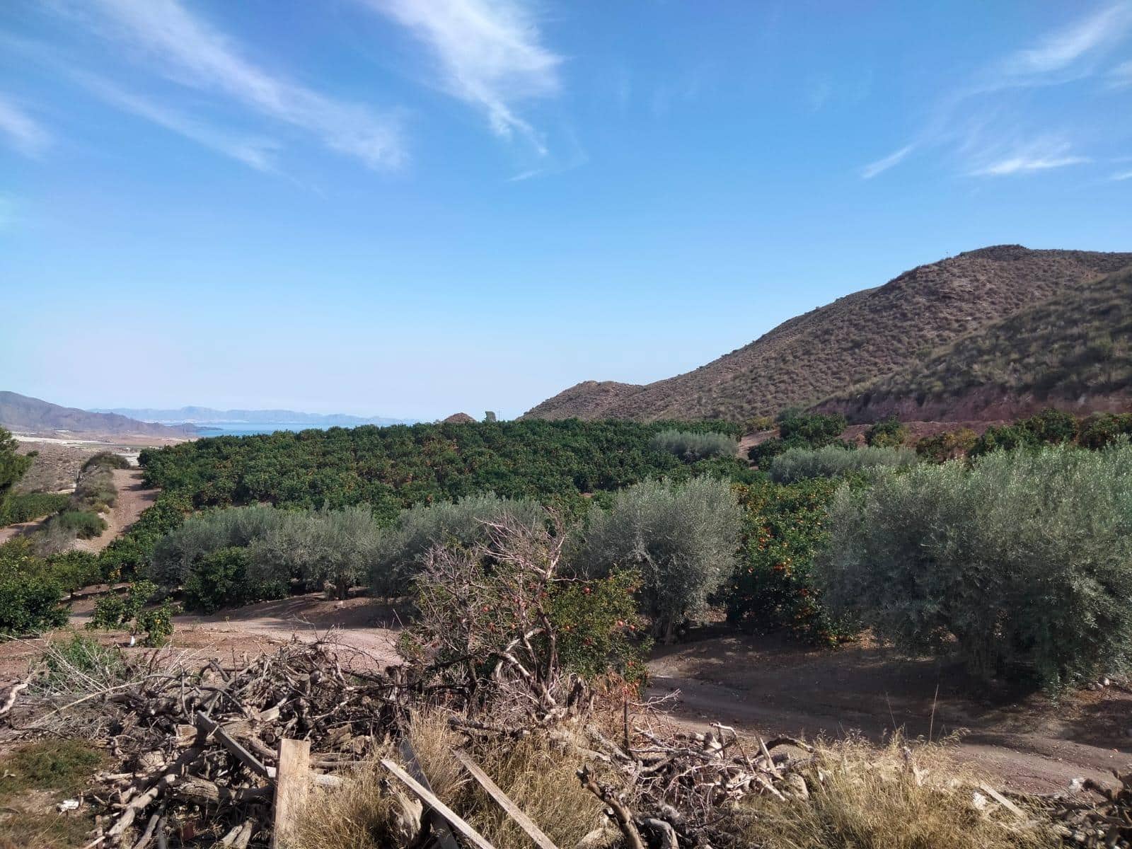 Terreno/Finca Rústica en Aguilas en venta - 600.000 € (Ref: 9650073)