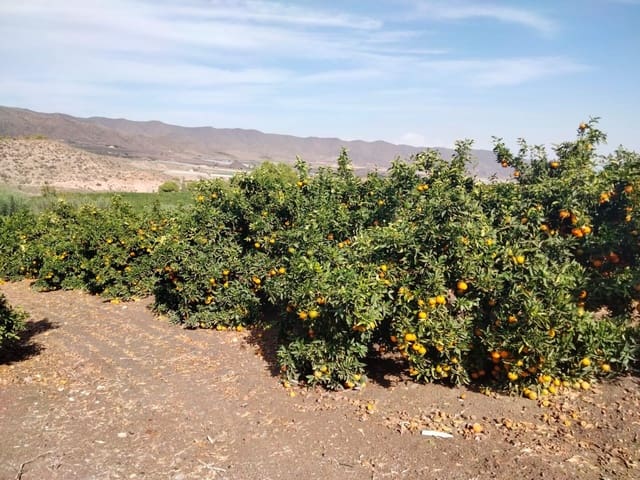 Terreno/Finca Rústica en Aguilas en venta - 600.000 € (Ref: 9650073)