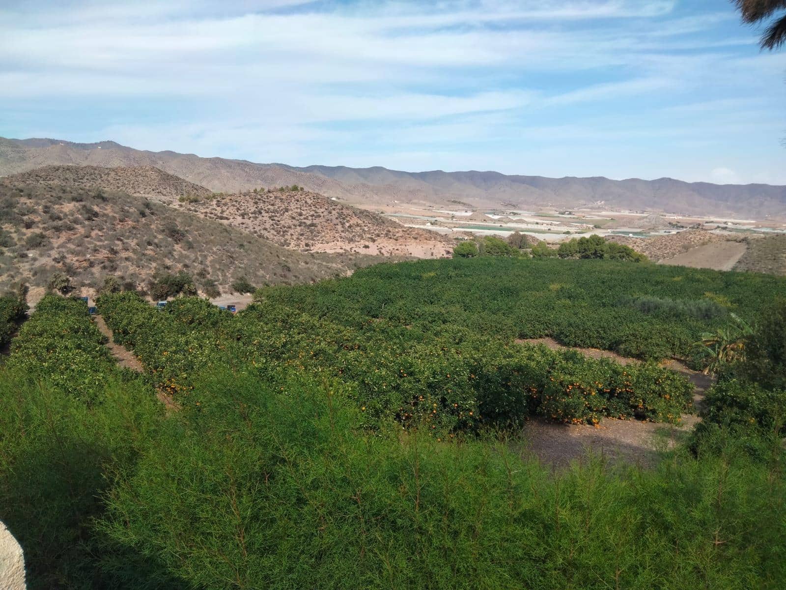 Terreno/Finca Rústica en Aguilas en venta - 600.000 € (Ref: 9650073)