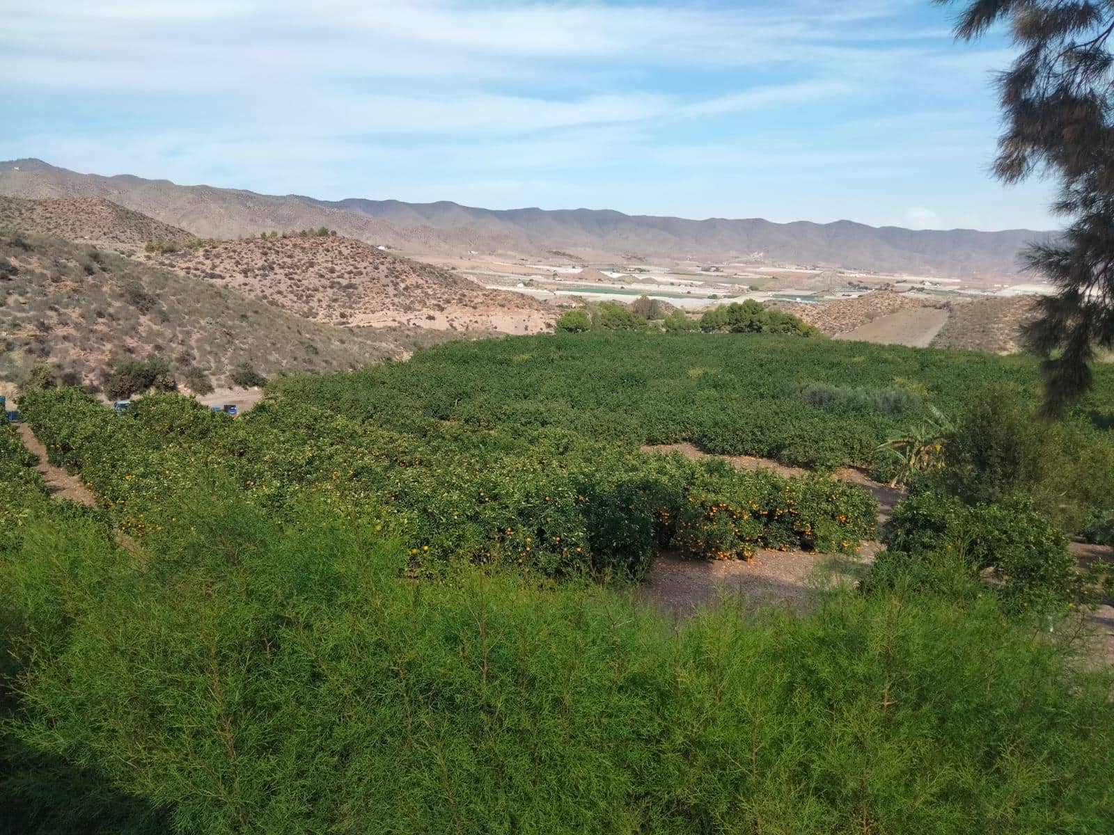 Terreno/Finca Rústica en Aguilas en venta - 600.000 € (Ref: 9650073)