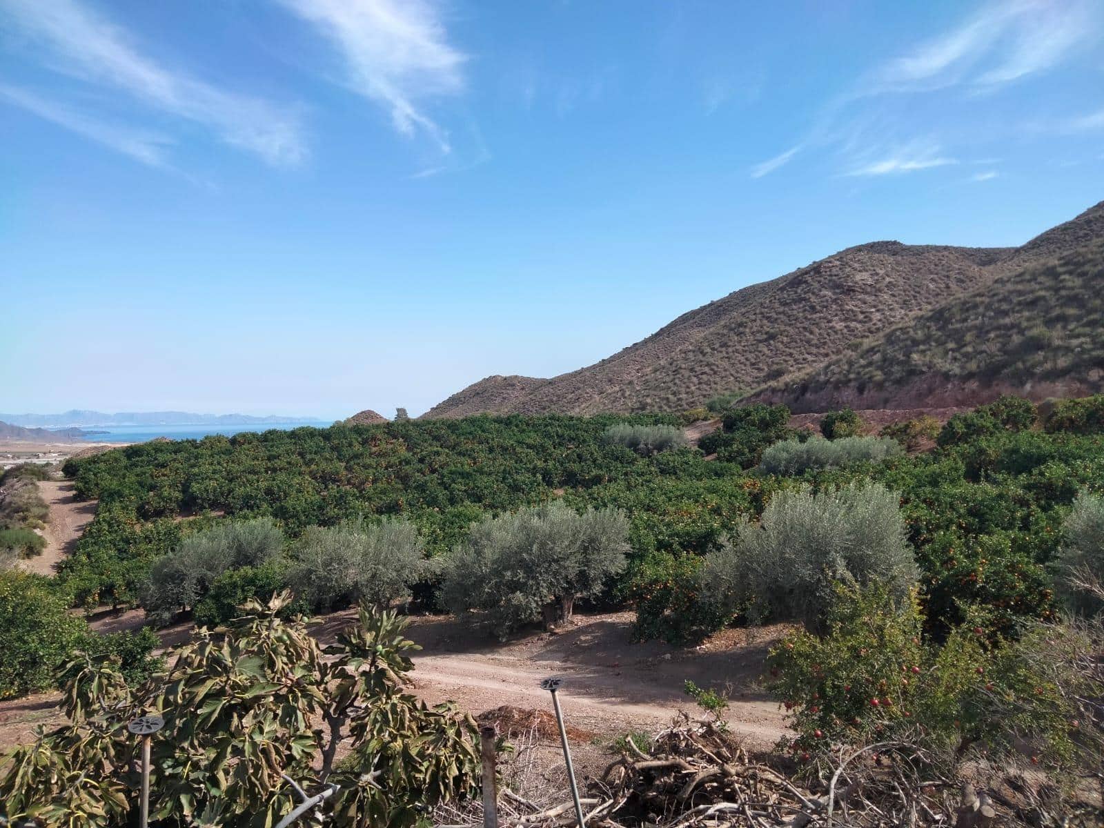 Terreno/Finca Rústica en Aguilas en venta - 600.000 € (Ref: 9650073)