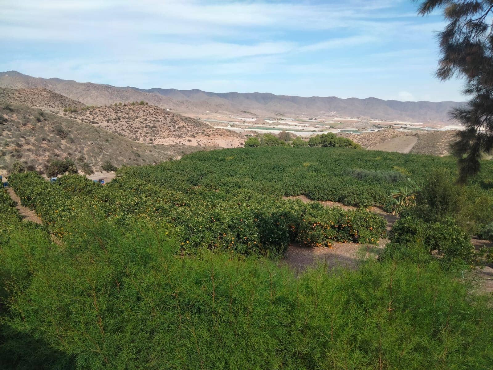 Terreno/Finca Rústica en Aguilas en venta - 600.000 € (Ref: 9650073)