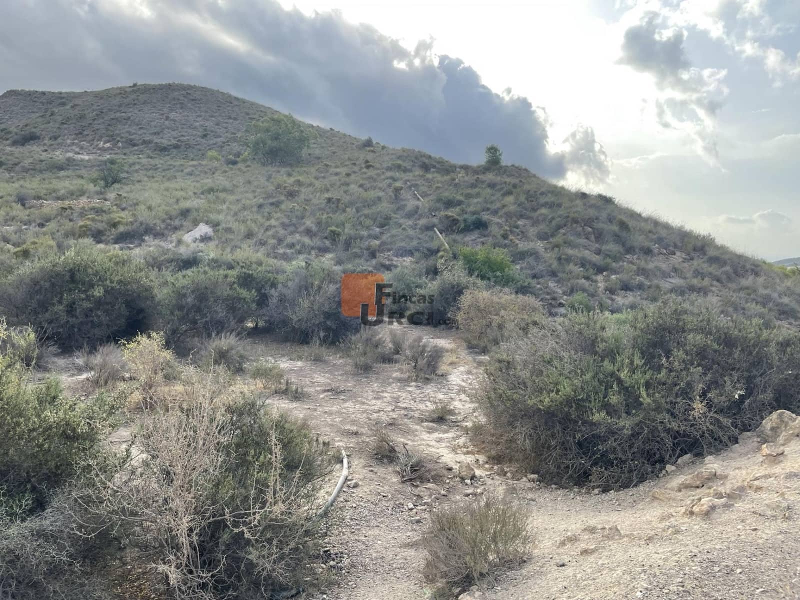 Quinta/Casa Rural para venda em Pastrana - 75 000 € (Ref: 9650080)