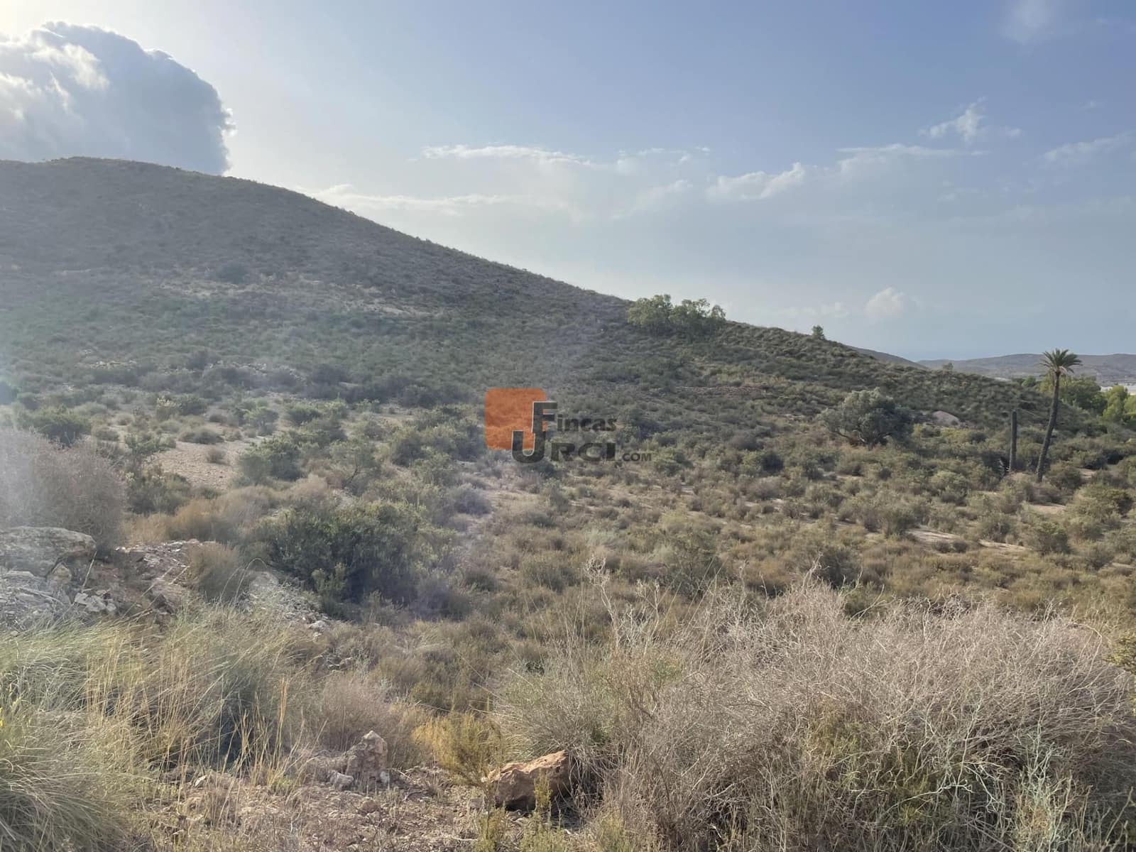 Quinta/Casa Rural para venda em Pastrana - 75 000 € (Ref: 9650080)