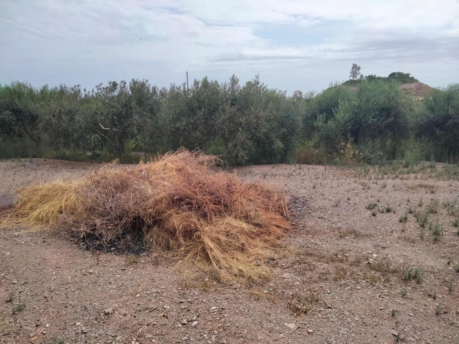 3 sypialnia Finka/Dom wiejski na sprzedaż w Aguilas z garażem - 250 000 € (Ref: 9650087)