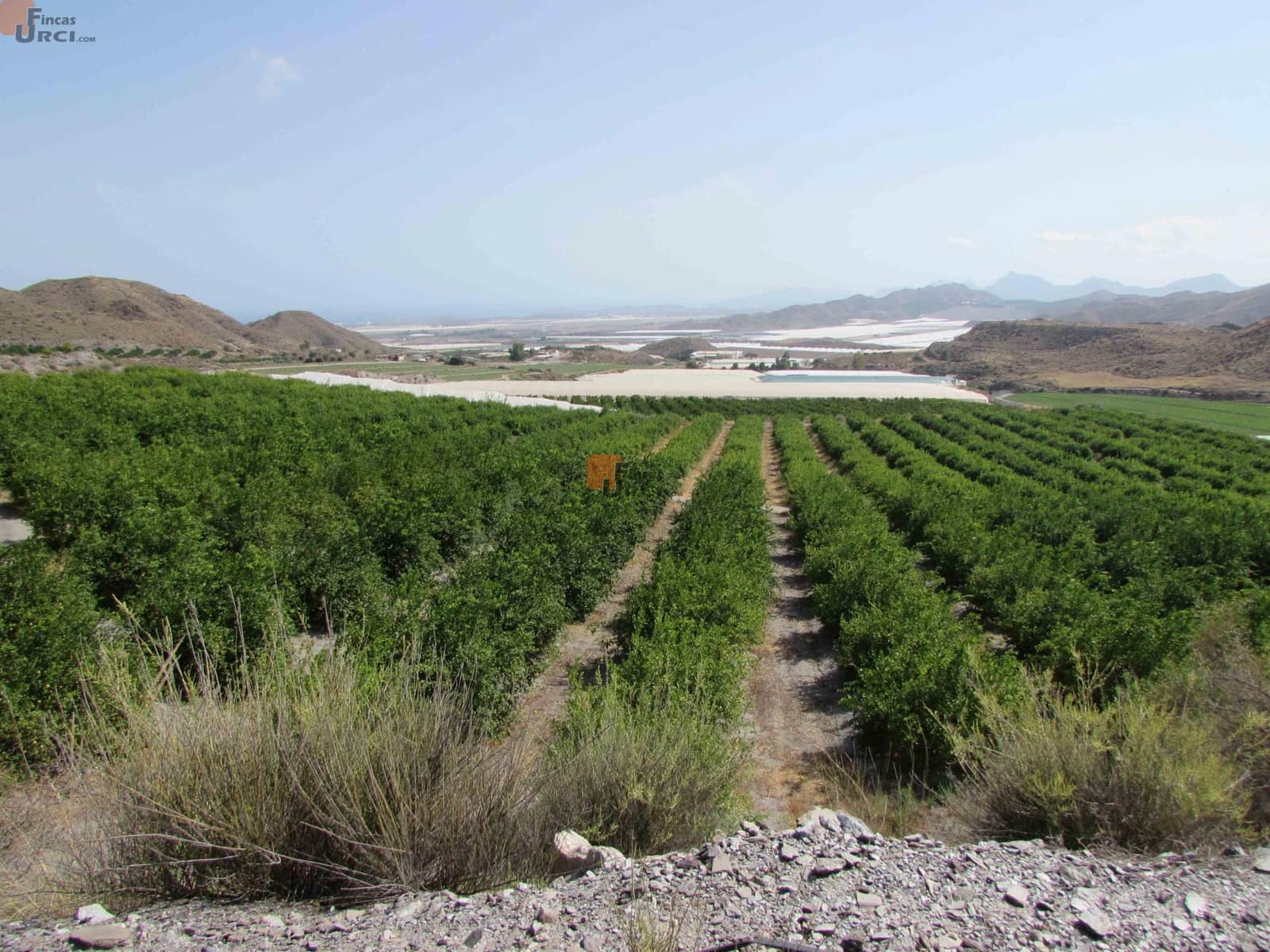 2 Zimmer Finca/Landgut zu verkaufen in Aguilas - 340.000 € (Ref: 9656052)