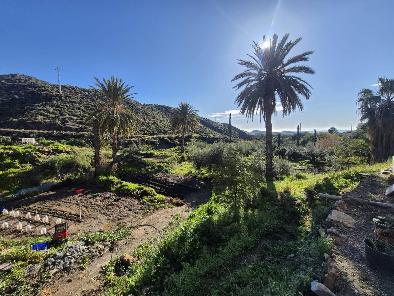 4 soveværelse Finca/Landehus til salg i Pulpi med swimmingpool garage - € 350.000 (Ref: 9690566)