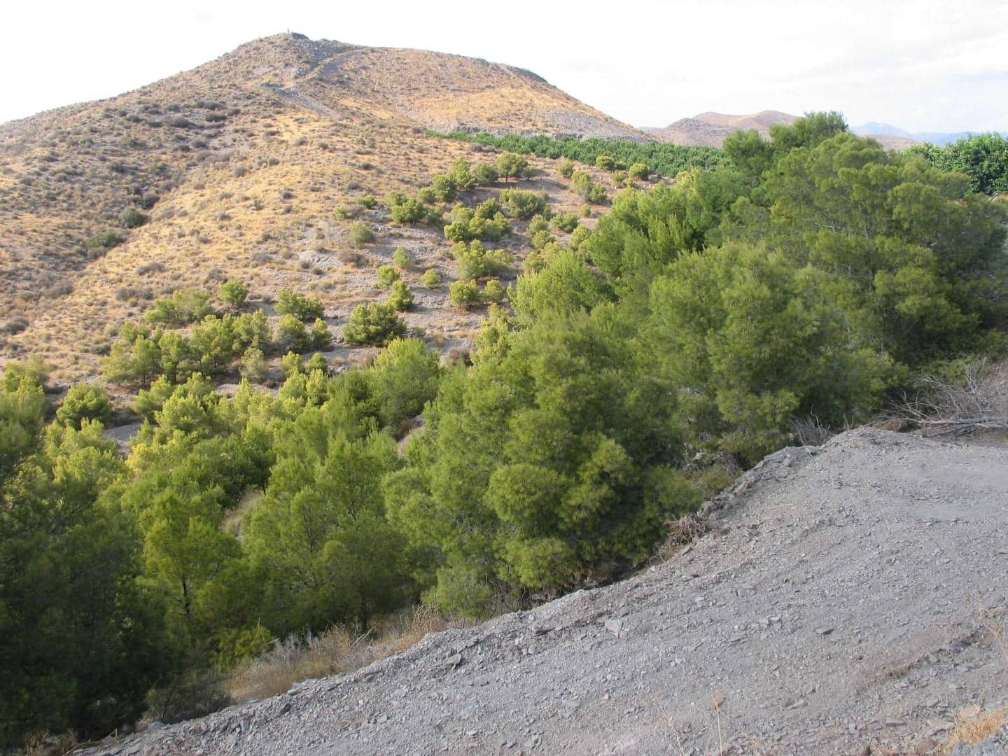 1 bedroom Finca/Country House for sale in Aguilas - € 89,000 (Ref: 9726614)