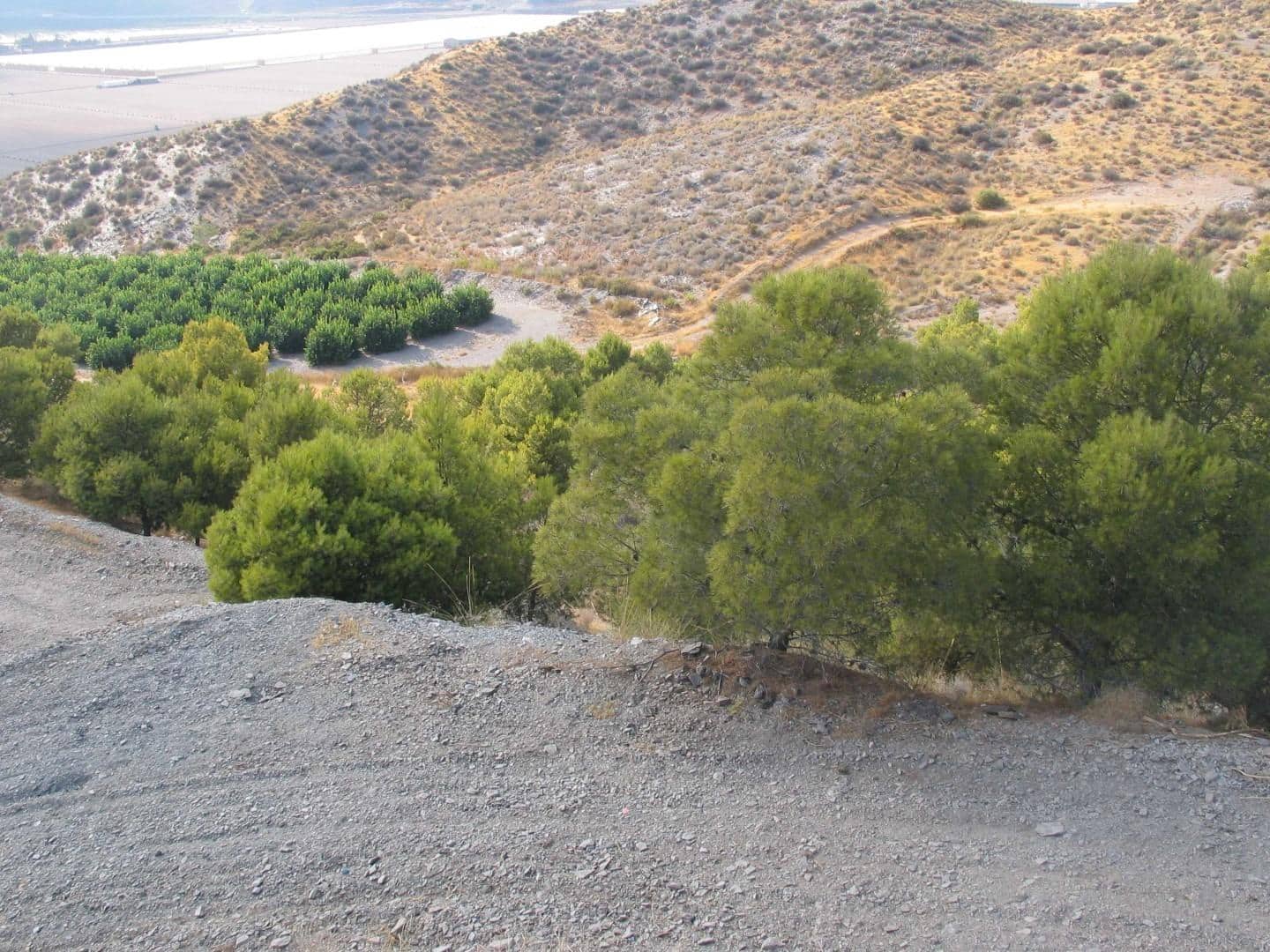 1 bedroom Finca/Country House for sale in Aguilas - € 89,000 (Ref: 9726614)