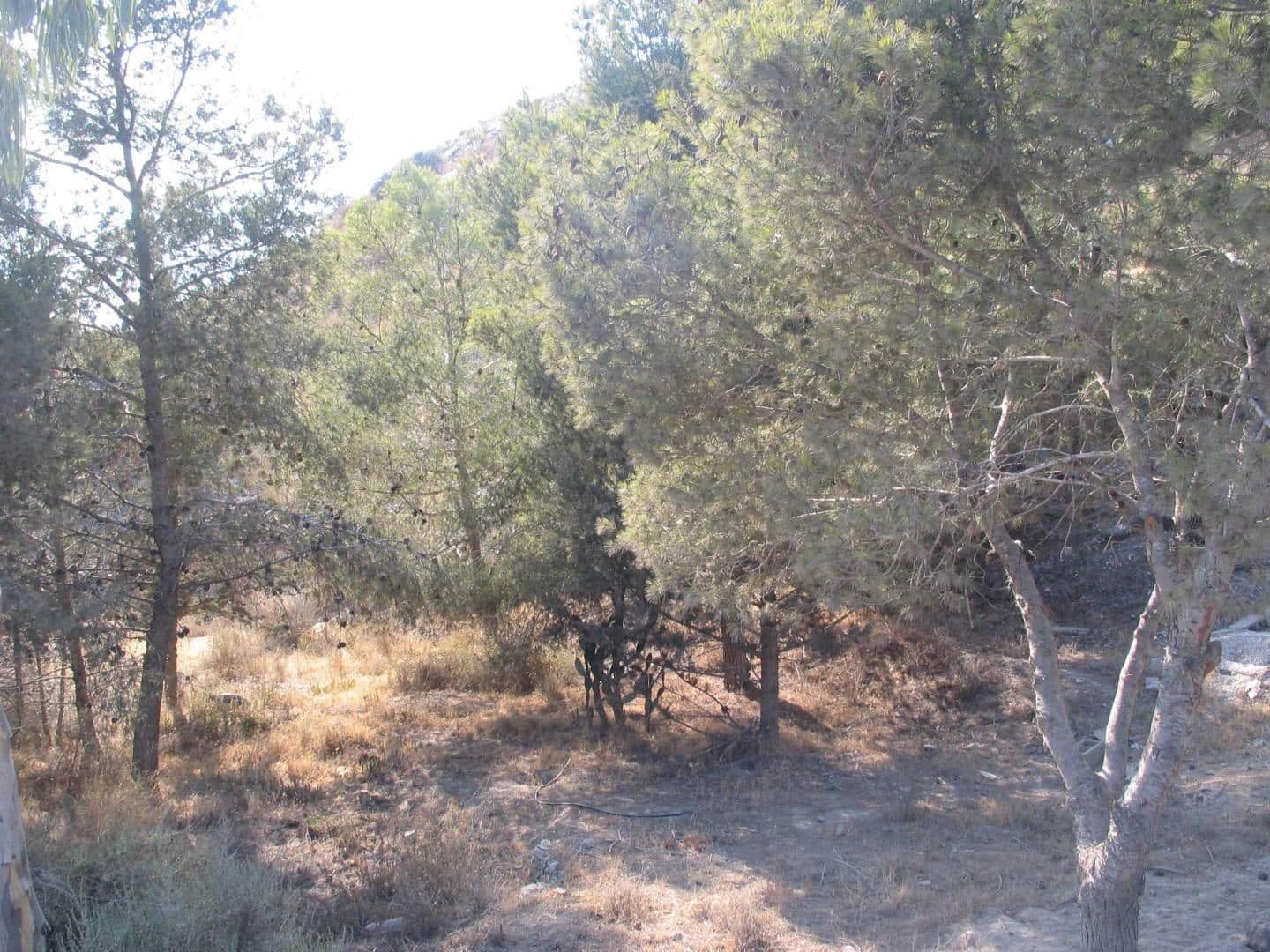 1 bedroom Finca/Country House for sale in Aguilas - € 89,000 (Ref: 9726614)