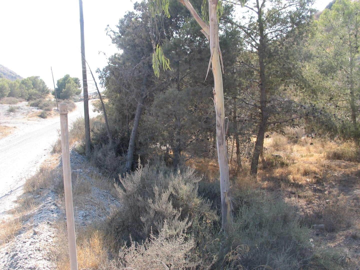 1 bedroom Finca/Country House for sale in Aguilas - € 89,000 (Ref: 9726614)