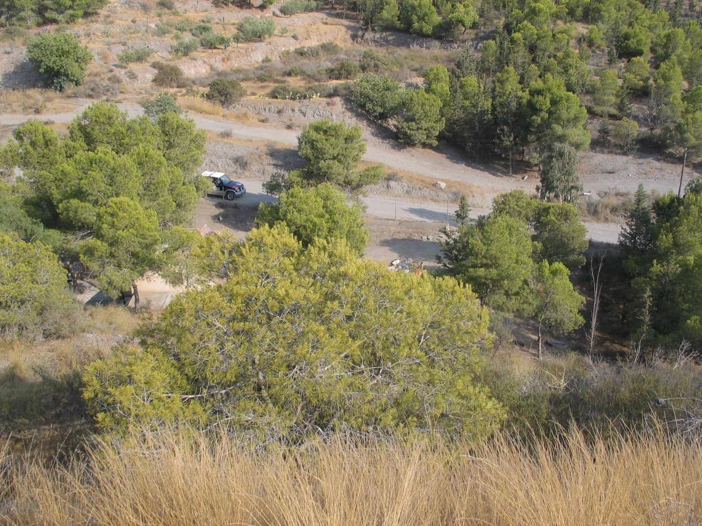 1 bedroom Finca/Country House for sale in Aguilas - € 89,000 (Ref: 9726614)