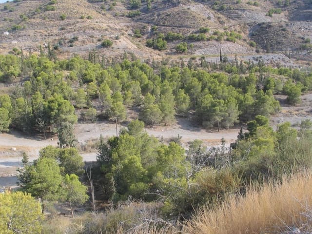 1 Zimmer Finca/Landgut zu verkaufen in Aguilas - 89.000 € (Ref: 9726614)