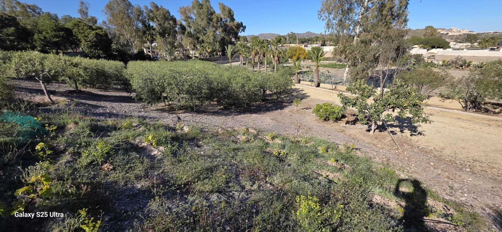 5 quarto Moradia para venda em Calabardina com garagem - 475 000 € (Ref: 9747876)