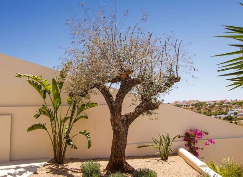 4 Zimmer Villa zu verkaufen in La Marina mit Pool Garage - 1.497.750 € (Ref: 10131911)