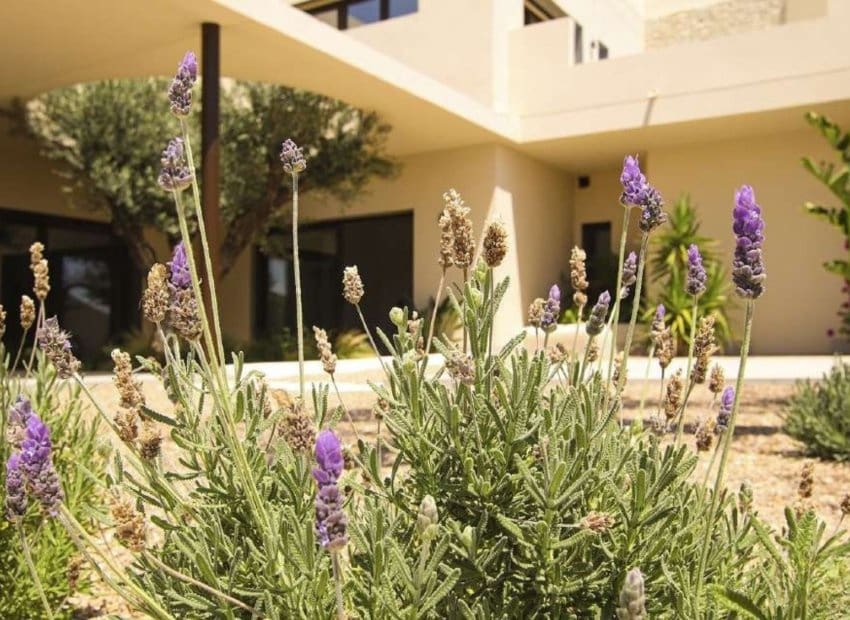 4 Zimmer Villa zu verkaufen in La Marina mit Pool Garage - 1.497.750 € (Ref: 10131911)