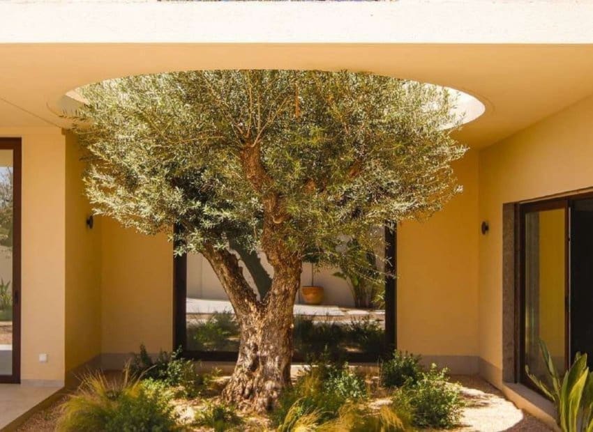 4 Zimmer Villa zu verkaufen in La Marina mit Pool Garage - 1.497.750 € (Ref: 10131911)