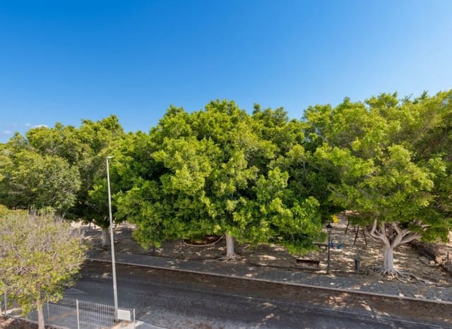 Chalet de 3 habitaciones en Mil Palmeras, Pilar de la Horadada en venta con piscina - 559.900 € (Ref: 10131932)