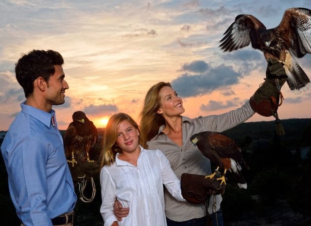 3 quarto Moradia para venda em Las Colinas Golf, Orihuela com piscina garagem - 2 450 000 € (Ref: 9368254)