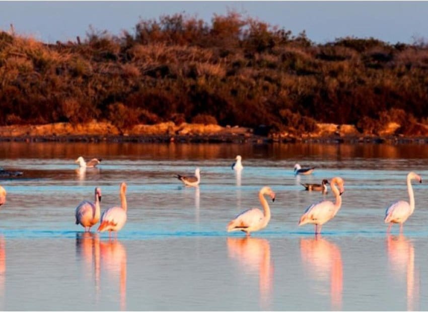 3 soveværelse Byhus til salg i San Pedro del Pinatar - € 369.900 (Ref: 9368330)