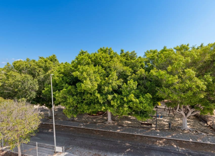 3 quarto Moradia para venda em Pilar de la Horadada - 539 900 € (Ref: 9368528)