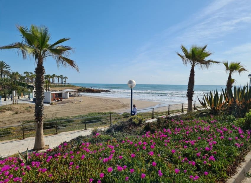 4 Zimmer Villa zu verkaufen in Los Dolses mit Pool Garage - 395.000 € (Ref: 9372402)