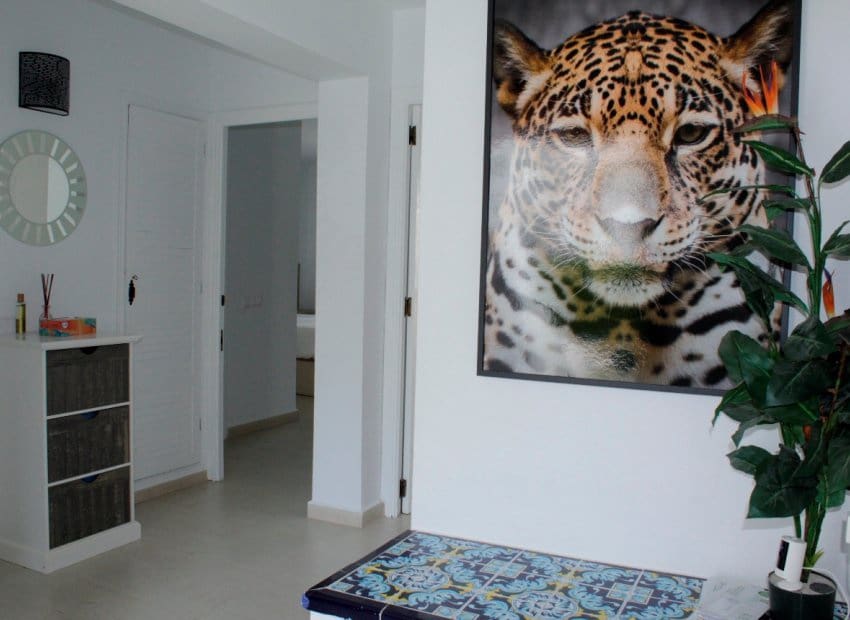 3 quarto Moradia para venda em Villamartin com piscina garagem - 329 990 € (Ref: 9372424)