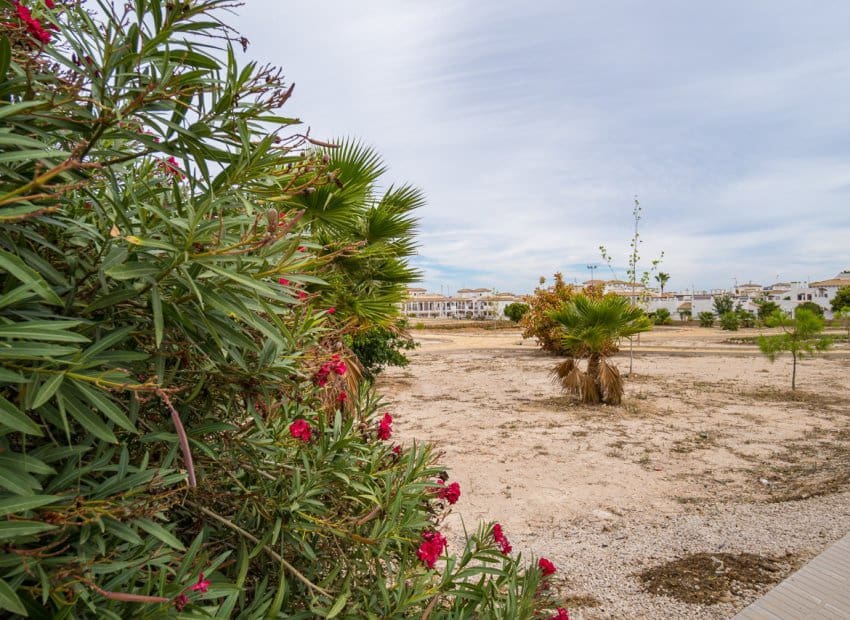 3 bedroom Townhouse for sale in Los Altos with pool - € 288,000 (Ref: 9497659)