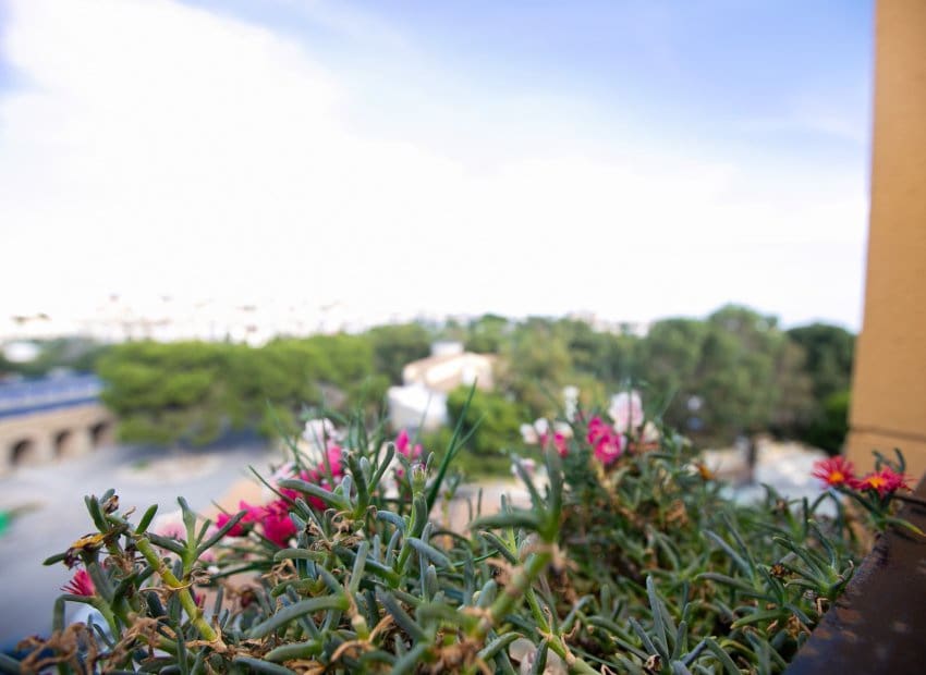 2 bedroom Apartment for sale in La Zenia with pool - € 198,000 (Ref: 9497670)