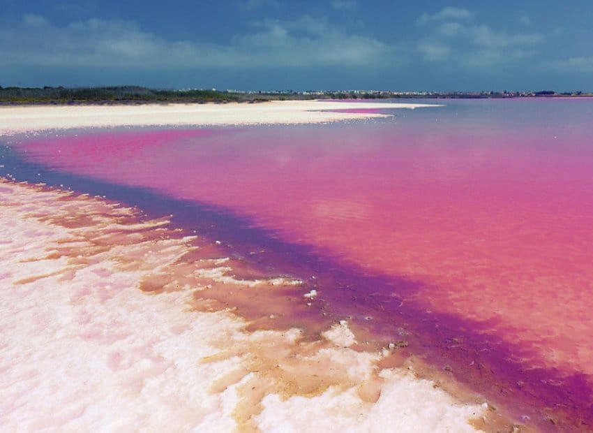 2 chambre Appartement à vendre à Los Balcones avec piscine garage - 272 000 € (Ref: 9619611)