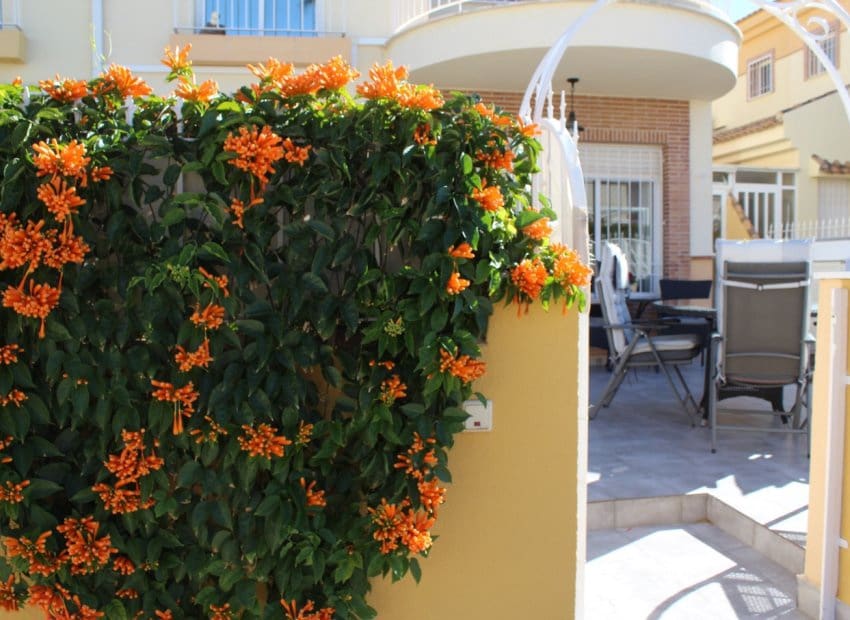 Pareado de 3 habitaciones en Villamartin en venta con piscina garaje - 239.000 € (Ref: 9619612)