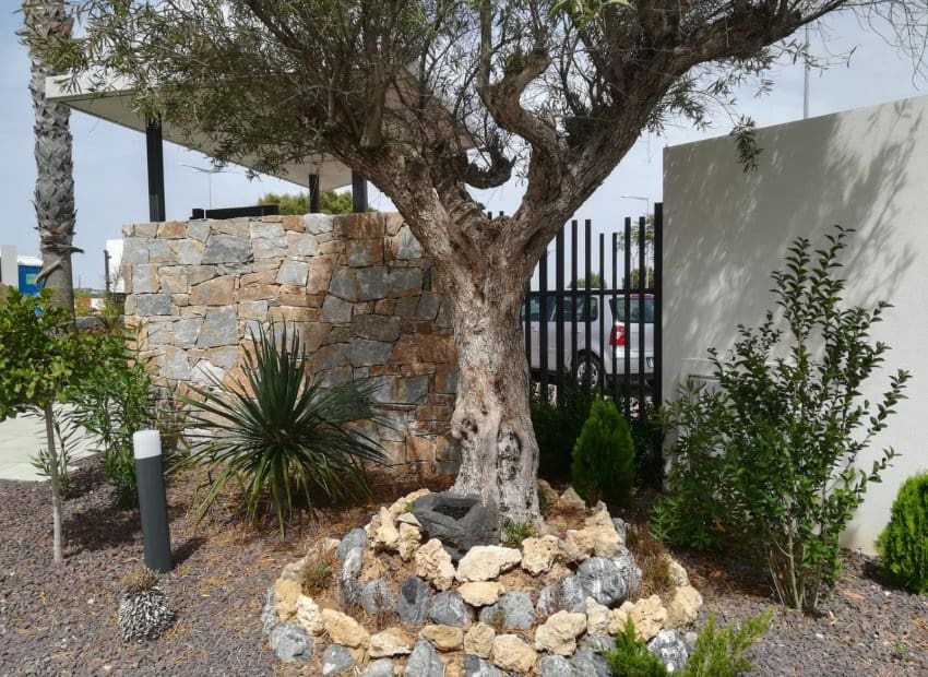 3 makuuhuone Huoneisto myytävänä paikassa Los Balcones mukana uima-altaan - 340 000 € (Ref: 9763859)