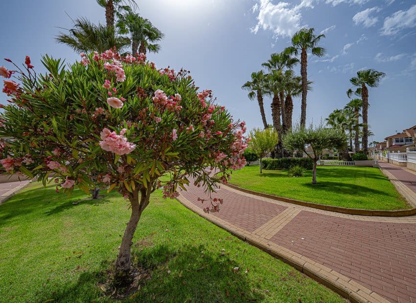 2 sovrum Lägenhet till salu i Playa Flamenca med pool - 189 900 € (Ref: 9763875)