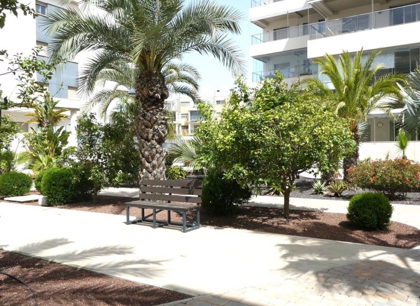 2 slaapkamer Penthouse te koop in Villamartin met zwembad garage - € 359.000 (Ref: 9777079)