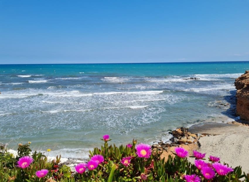 2 slaapkamer Penthouse te koop in Villamartin met zwembad garage - € 359.000 (Ref: 9777079)