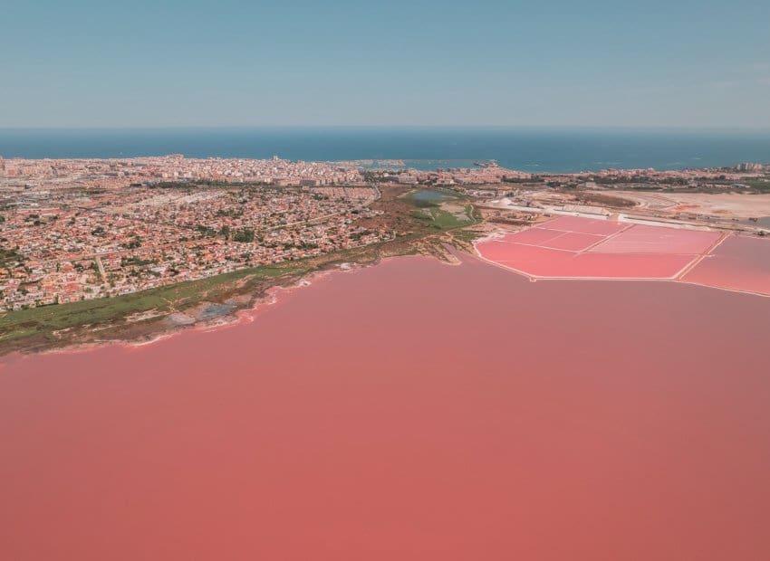 Apartamento de 2 habitaciones en Torrevieja en venta con piscina garaje - 259.000 € (Ref: 9808309)