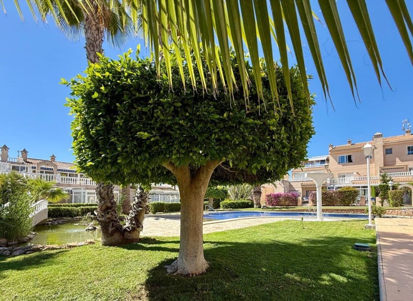 2 quarto Casa em Banda para venda em Playa Flamenca com piscina - 319 900 € (Ref: 9927674)