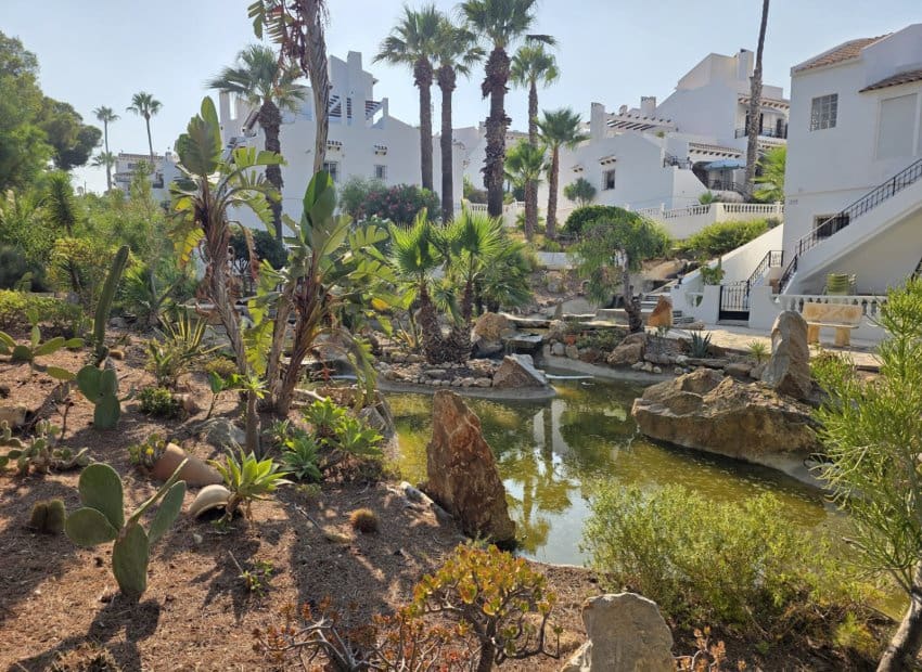 2 soveværelse Lejlighed til salg i Villamartin med swimmingpool - € 199.000 (Ref: 9983872)