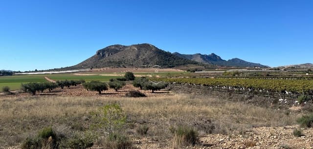 Rakentamaton maa myytävänä paikassa La Romana - 115 000 € (Ref: 9426724)