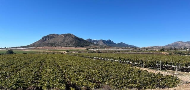 Rakentamaton maa myytävänä paikassa La Romana - 115 000 € (Ref: 9426724)