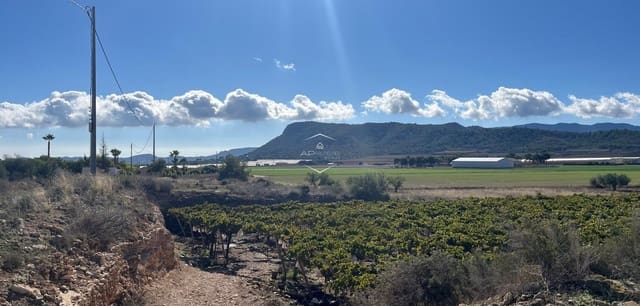 Rakentamaton maa myytävänä paikassa La Romana - 115 000 € (Ref: 9426724)