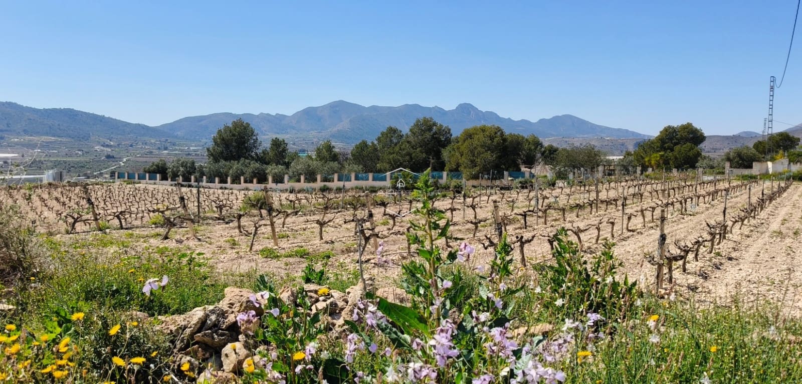 4 makuuhuone Maalaistalo myytävänä paikassa La Romana mukana uima-altaan 
autotalli - 398 000 € (Ref: 9720908)