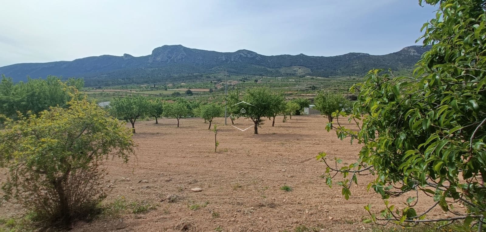 4 bedroom Finca/Country House for sale in La Romana with pool garage - € 230,000 (Ref: 9751488)