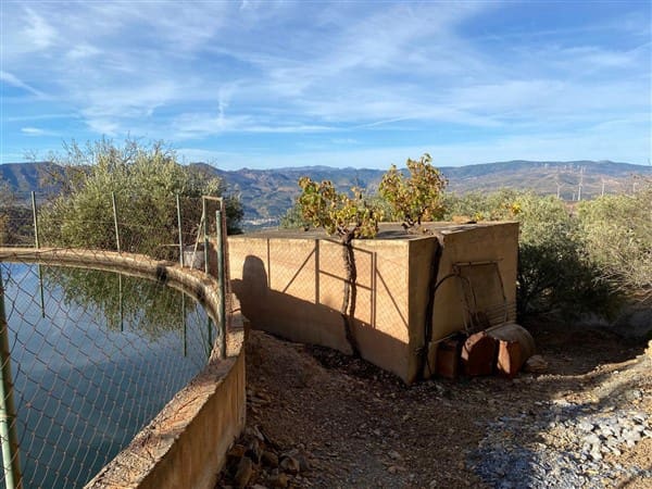 Terre non Aménagée à vendre à Mondujar - 42 500 € (Ref: 10120501)
