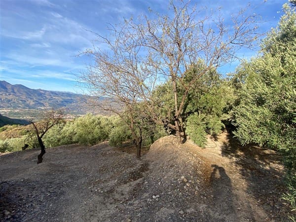 Terre non Aménagée à vendre à Mondujar - 42 500 € (Ref: 10120501)