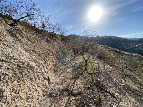 Terre non Aménagée à vendre à Mondujar - 42 500 € (Ref: 10120501)