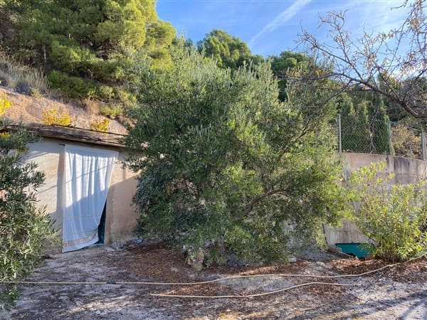 Terre non Aménagée à vendre à Mondujar - 42 500 € (Ref: 10120501)